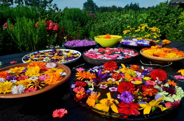 Разноцветные Садовые Цветы Плавающие Поверхности Воды Круглом Контейнере Заднем Плане — стоковое фото