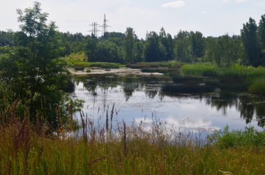 Yazın büyüyen küçük göl, yukarıdan manzara. Yeşil bitkilerle kaplı küçük bir gölet.