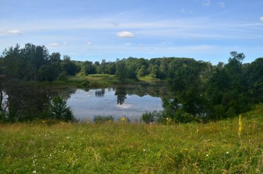 Yazın büyüyen küçük göl, yukarıdan manzara. Yeşil bitkilerle kaplı küçük bir gölet.