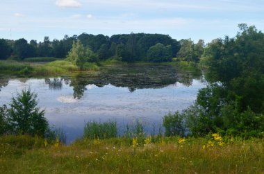 Yazın büyüyen küçük göl, yukarıdan manzara. Yeşil bitkilerle kaplı küçük bir gölet.