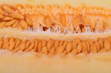 Beyaz arka planda yarı izole edilmiş yuvarlak sarı bir kavun diliminin yakın çekimi. Taze, sulu, yarım karpuz ve çekirdekle kesilmiş. 