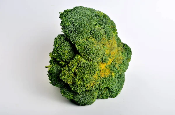 Broccoli Cap Fundal Alb — Fotografie, imagine de stoc