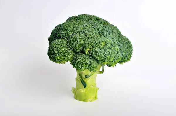 Broccoli Head White Background — Stock Photo, Image