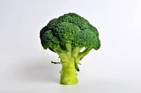 Tête Brocoli Sur Fond Blanc — Photo