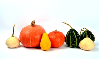 Beyaz arkaplanda izole edilmiş çeşitli renkli balkabakları