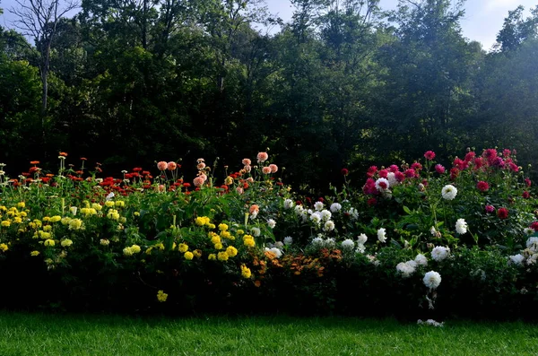 Garten Mit Vielen Bunten Herbstblumen — Stockfoto