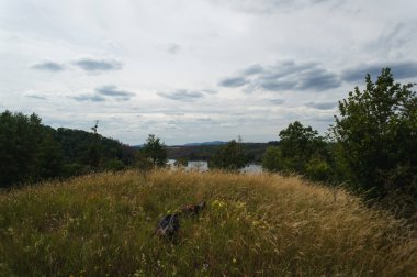 Sırt çantaları güzel doğada yüksek çimlerde uzanıyordu. Dağlarda yürüyüş.