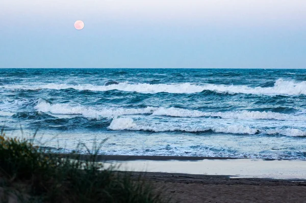 Дике Море Повним Місяцем Фоні Фокус Місяці Розмитий Передній План — стокове фото