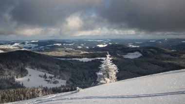 Beyaz kış dağ manzarası. Kara Orman 'da kar. Feldberg, Almanya 'da bir dağın zirvesinden görüntü.