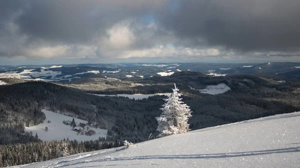 Paisaje Blanco Montaña Invierno Nieve Selva Negra Vista Desde Cima —  Fotos de Stock