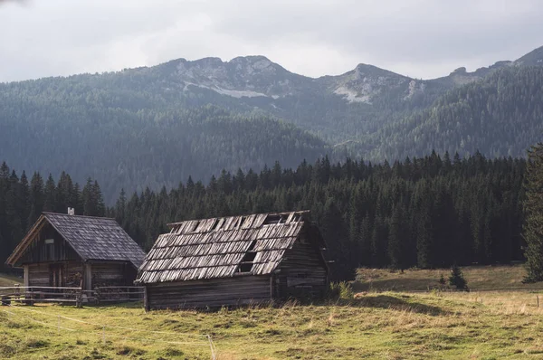 Dřevěné Domy Venkovské Vesnice Zelená Louka Les Krásná Krajina Vysoký — Stock fotografie