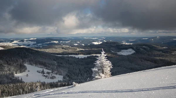 Білий Зимовий Гірський Ландшафт Сніг Чорному Лісі Вид Вершини Гори Ліцензійні Стокові Фото