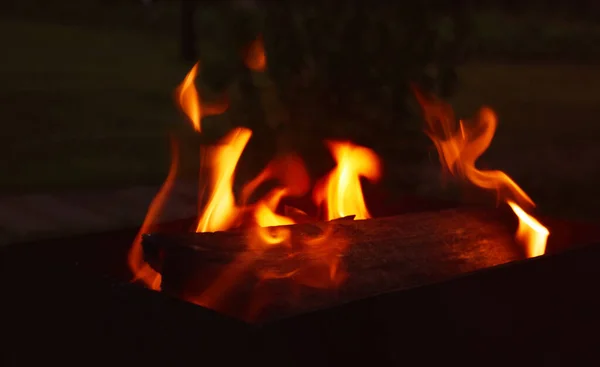 A picnic in the open air in a country house. Fire in the grill at night.