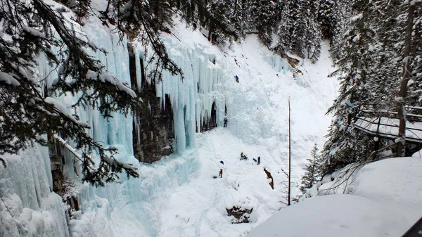 Alberta Canada Gennaio 2014 Ice Climbing Johnston Canyon Banff Alberta — Foto Stock