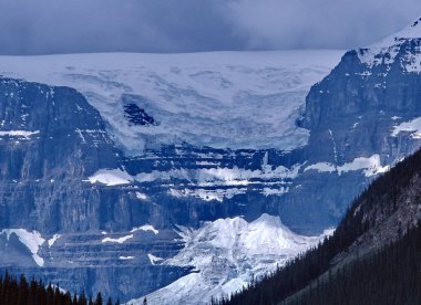 Athabasca Buzulu, Columbia Icefield, Jasper Ulusal Parkı, Alberta, Kanada, Temmuz 1980