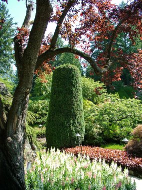 Victoria, British Columbia, Kanada, 25 Haziran 2012; Victoria, BC 'deki Lovely Butchart Gardens.