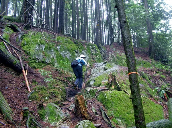 Vancouver Columbia Británica Canadá Agosto 2009 Caminatas Mujeres Sendero Lynn — Foto de Stock