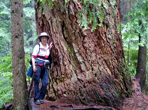 Vancouver Columbia Británica Canadá Agosto 2009 Caminatas Mujeres Sendero Lynn — Foto de Stock