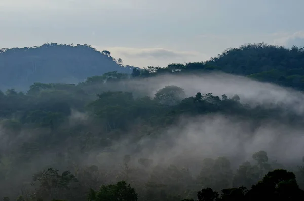 Misty Sunrise Ovanför Bergen Carara Nationalpark — Stockfoto