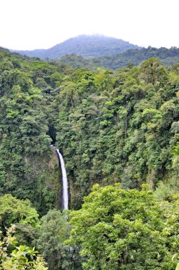 Kosta Rika 'daki La Fortuna Şelalesi.