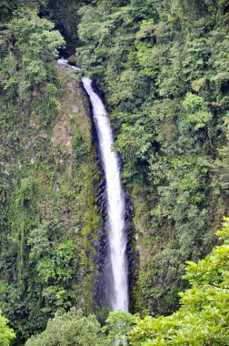 Kosta Rika 'daki La Fortuna Şelalesi.