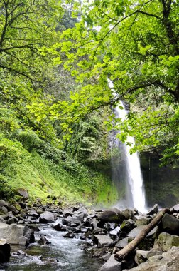 La Fortuna Waterfall in Costa Rica. clipart