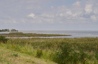 Po Nehri Delta, İtalya 'da pembe flamingo sürüsü