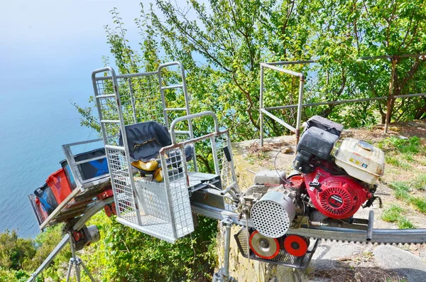 Cinque Terre Talya Tek Raylı Bir Trende Şarap Üzümü Hasat — Stok fotoğraf