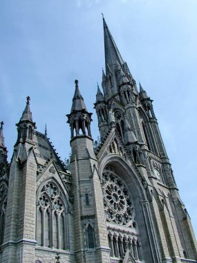 Cobh, İrlanda 'daki St. Colman Katedrali