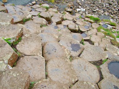 Causeway, Antrim, Kuzey İrlanda dev