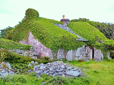 Inis 'deki Thatched Kır Evi, Bay