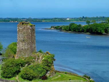 Ferrycarrig Tower House near the Irish National Heritage Park clipart