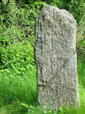 County Wexford, İrlanda, 27 Mayıs 2012; İrlanda Ulusal Mirası Parkı 'ndaki Ogham Stone.