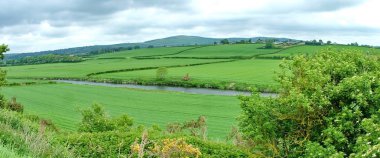Panoramic of green pastures in Ireland clipart