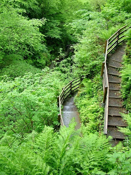 Glenariff Cascada Irlanda Del Norte — Foto de Stock