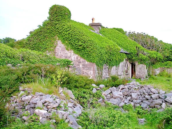 Thatched Cottage Inis — Stock fotografie