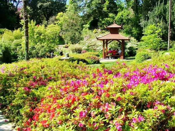 Enniskerry Irlanda Mayo 2012 Powerscourt House Gardens Fue Votado Como — Foto de Stock