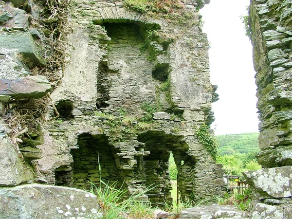 Coppinger Court Castle Ruins — Foto de Stock