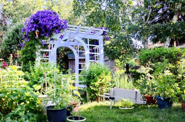 Coronavirus salgını sırasında şehir bahçesindeki saksılarda yetişen domatesler ve diğer sebzeler.
