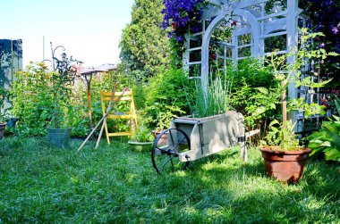 Coronavirus salgını sırasında şehir bahçesindeki saksılarda yetişen domatesler ve diğer sebzeler.