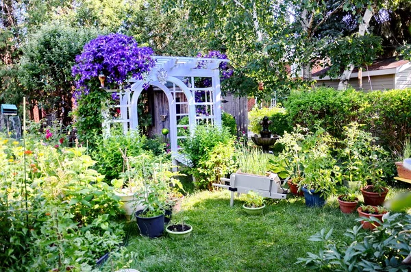 Tomates Autres Légumes Cultivés Dans Des Pots Fleurs Dans Jardin — Photo