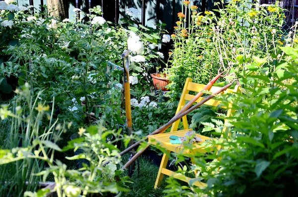 Garden tools and vegetables in an urban garden during the Coronavirus Pandemic