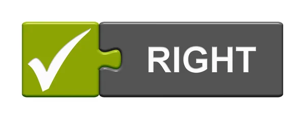 Isolated Puzzle Button Tick Symbol Showing Right — Stock Photo, Image