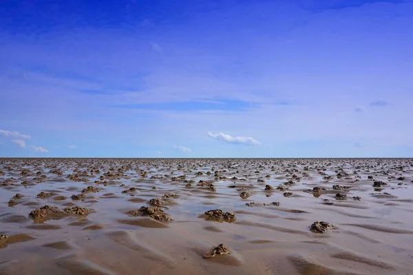 North Sea Mud flat with blue sky