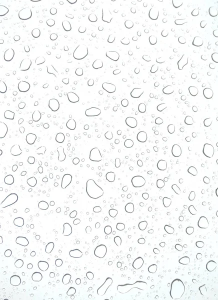 Background Texture Fresh Water Drops White Background — Stock Photo, Image