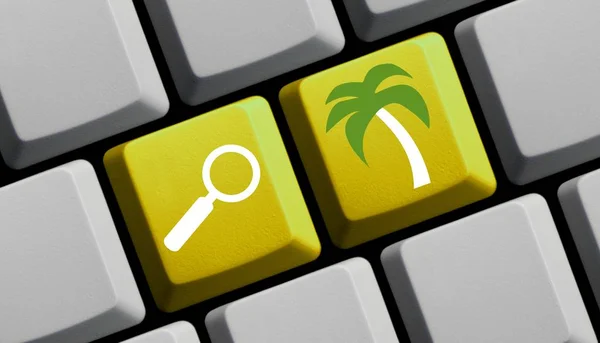 Datorns Tangentbord Med Förstora Symbol Visar Palm — Stockfoto