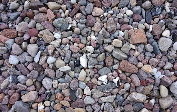 Little stone in a garden or at a beach — Stock Photo, Image