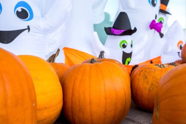 Kabak hasat pirinç saman arka plan. Haloween parti.