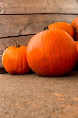 Kabak hasat pirinç saman arka plan. Haloween parti.