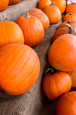 Kabak hasat pirinç saman arka plan. Haloween parti.